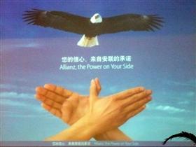 中德安联人寿保险珠海分公司招聘,此公司现招