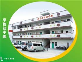 沥林镇gdp_杏坛镇gdp数据图