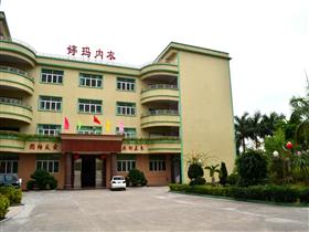 普宁<em>婷玛</em>内衣厂